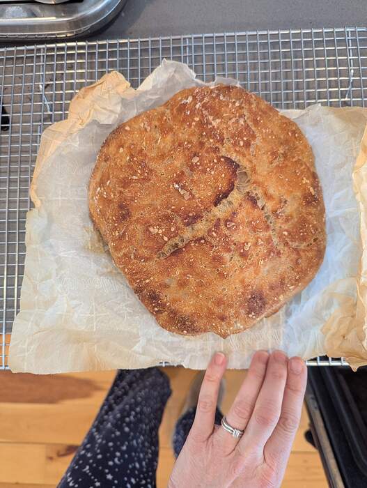 PXL_20260201_172550009.MP