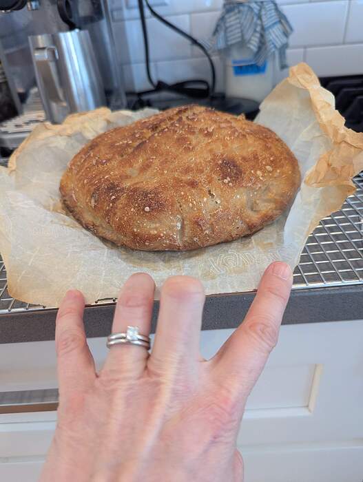 PXL_20260201_172553236.MP