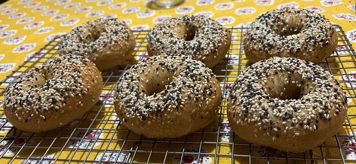 KAF Bagels