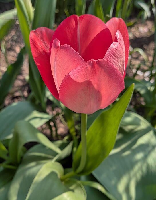 PXL_20260424_145257887~2