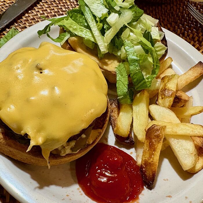 Cheesboiga and Fries