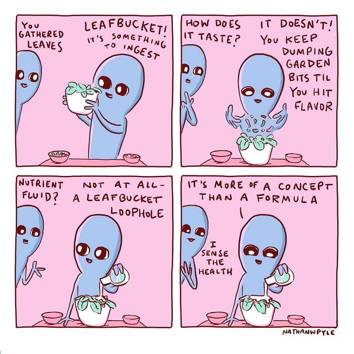 531516355_1315982286563556_5081763759199527203_n