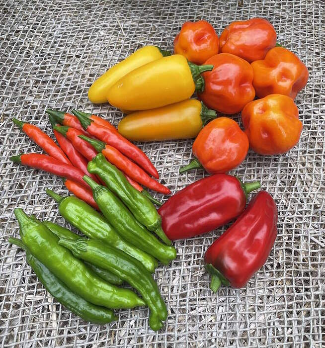 peppers
