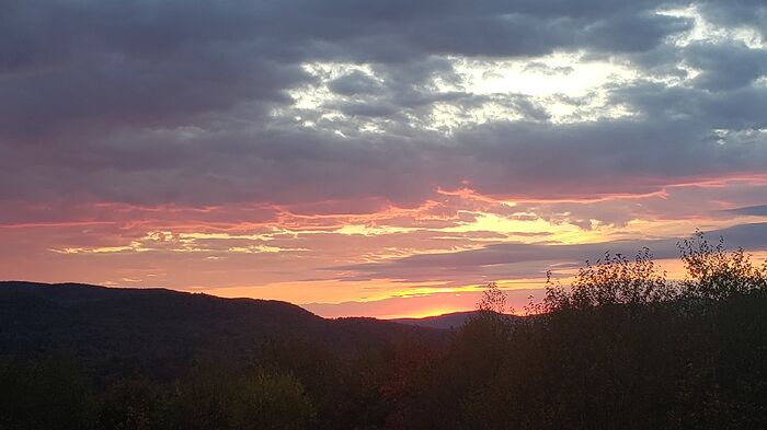 20251004_064506