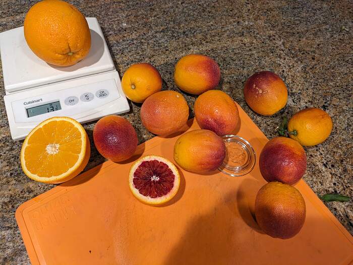 PXL_20240412_221158892