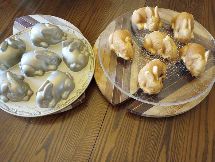 Apr 4 sleeping baby bunnies cinnamon rolls (1)