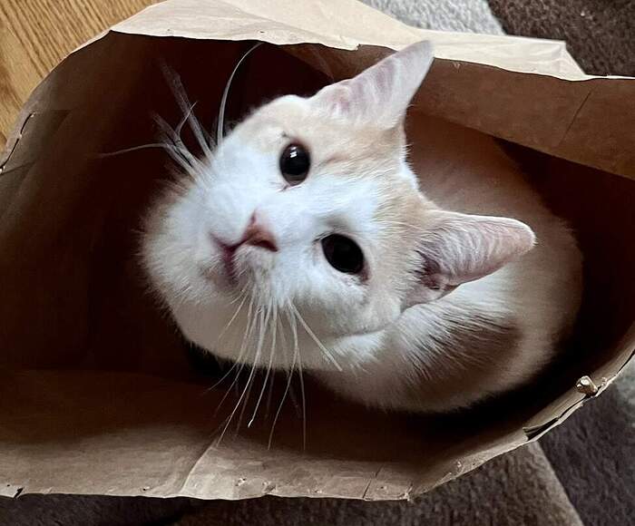 C41AD7B9-B40F-406B-B664-F8FFCB72FFE5_1_105_c