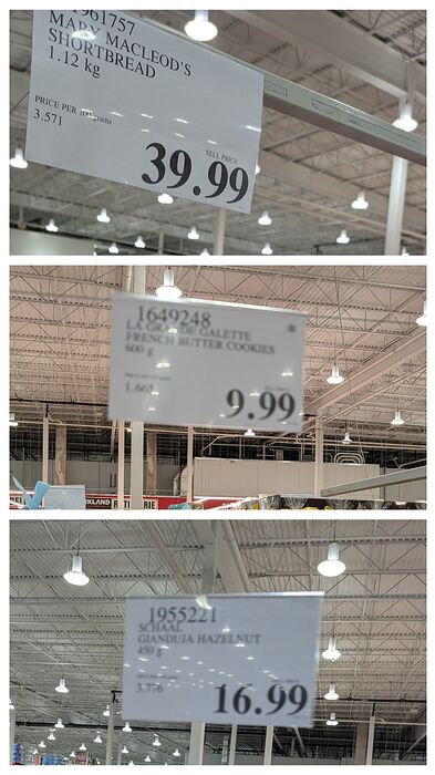 20251206_154707-COLLAGE