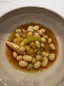 11ABB1BC-1FD6-457A-BA52-25065CA58243_1_102_o