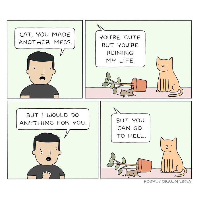 583547966_1388426165976014_8865674772712861108_n