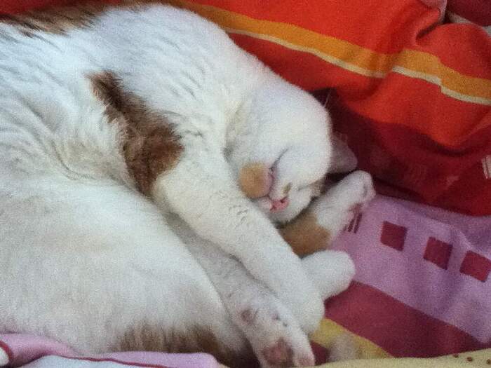 347DE84D-8042-437E-8C64-27A70840F99F