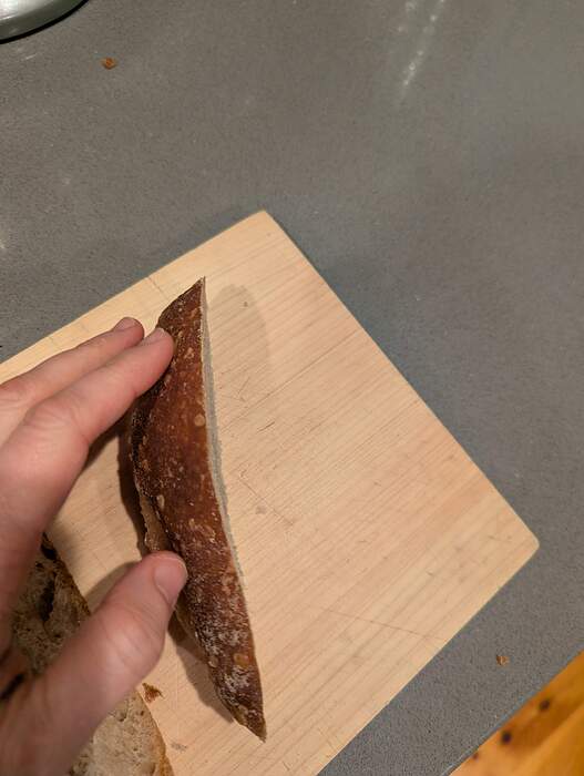 PXL_20260221_120917244.MP