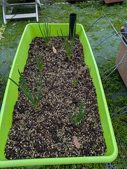 PXL_20251226_202659725