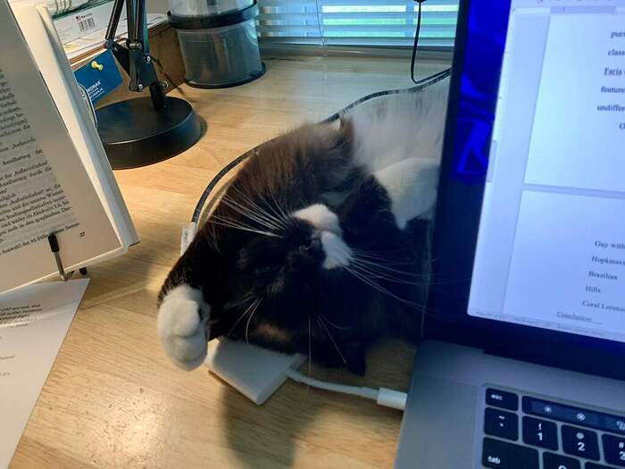 BEF995F1-3D0F-4B7C-99E6-3E32DDFD18F8_1_105_c