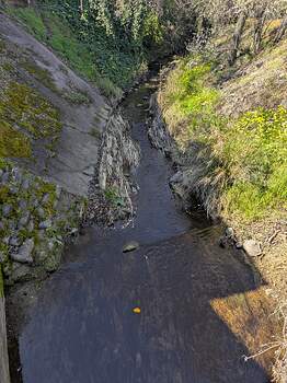 PXL_20260213_205903971.MP