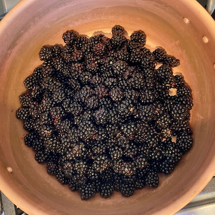 Blackberries