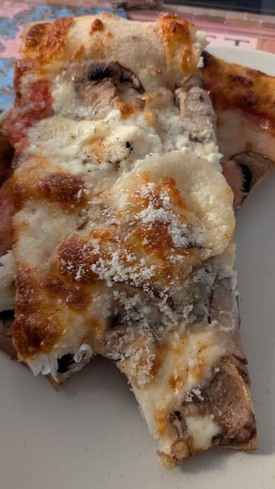 PXL_20260208_230451347.MP