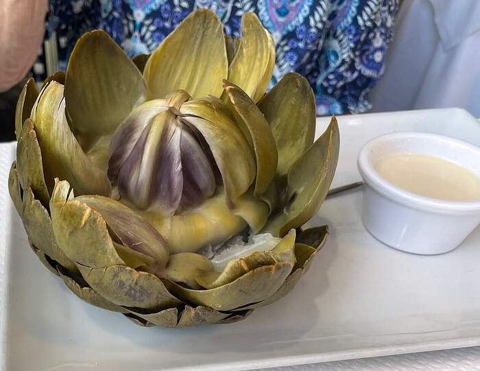 noailles artichoke