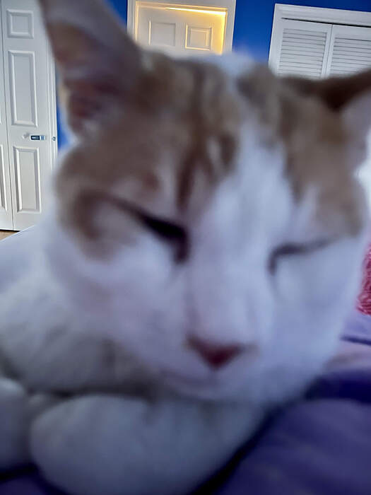 ABA8F41D-2314-413A-A3F2-296C1D62722D_1_201_a