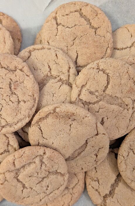 PXL_20260210_221639939.MP~2