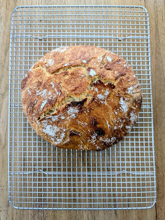 PXL_20251115_180826990.MP~2