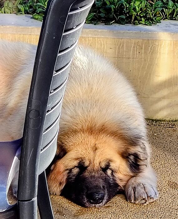 IMG_20260103_135343414_HDR