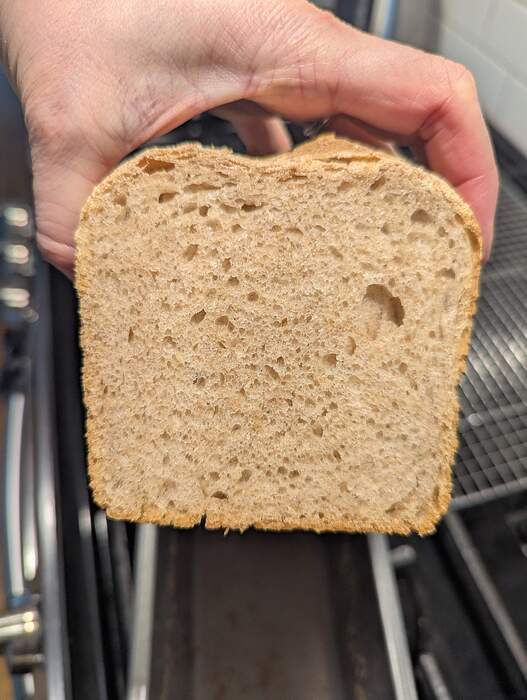 PXL_20260222_210105565.MP