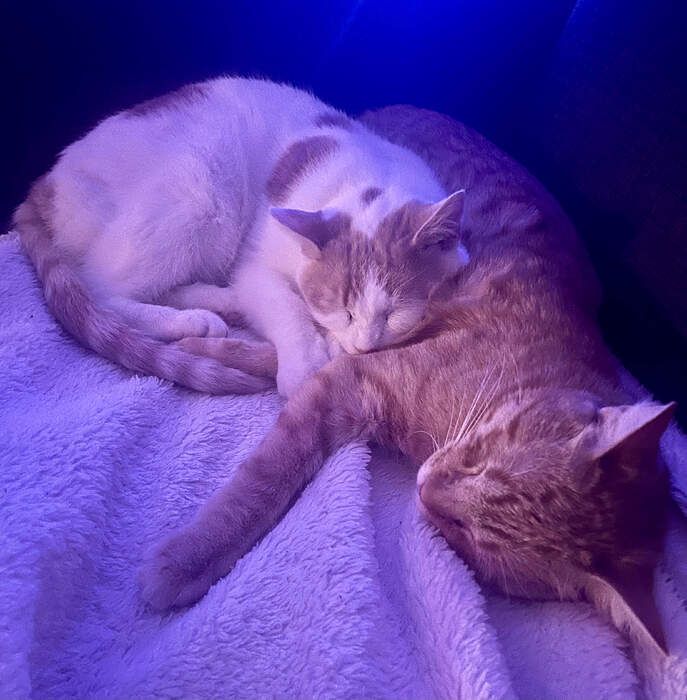 ABE936D0-AD7F-4B38-81F1-FBA7E16DB5E4_1_201_a