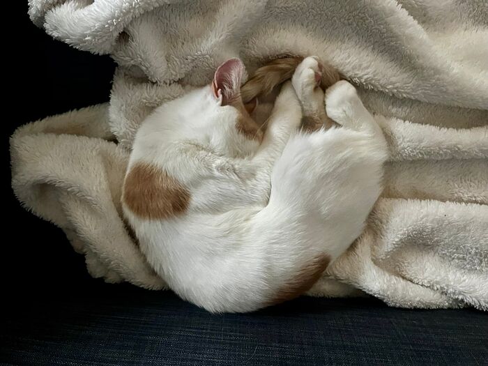 D7186DA6-E2CF-4ECE-A6D1-A98F76031528_1_102_a