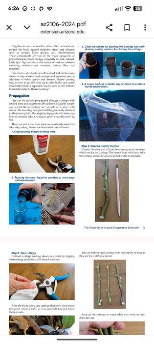 Screenshot_20260130-182634