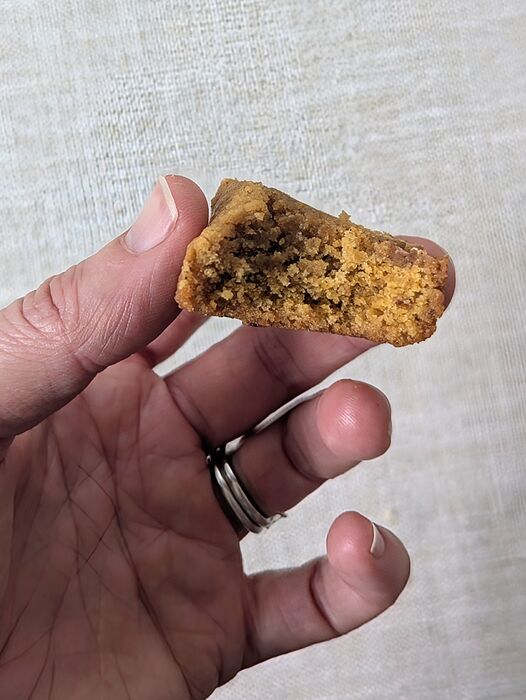 PXL_20260315_180431936.MP~2