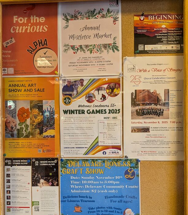 PXL_20251105_161514151~2