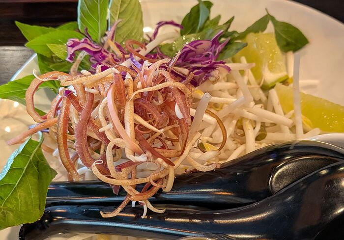 PXL_20251127_184731383~2