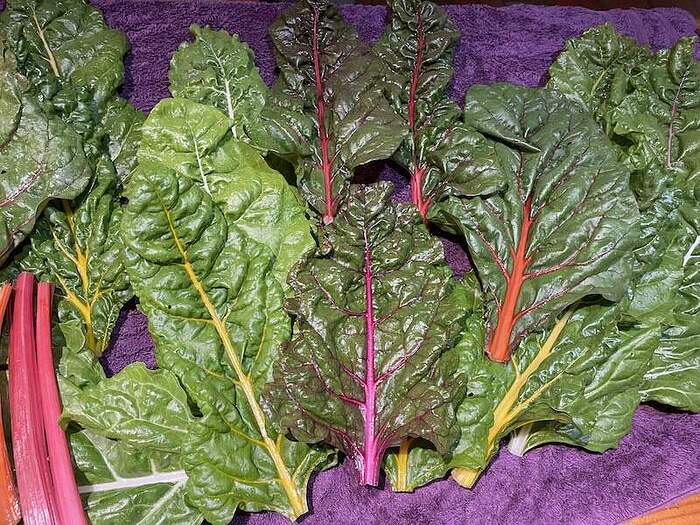 chard1
