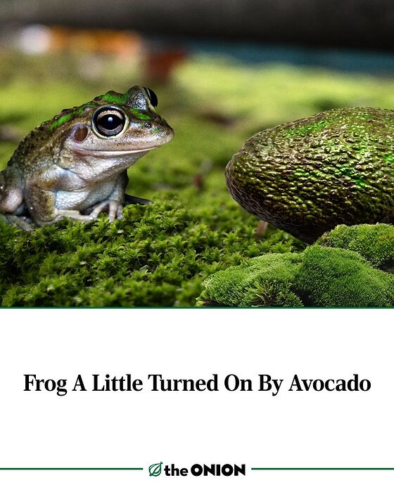 657723274_1363483592476280_6949272840460785472_n