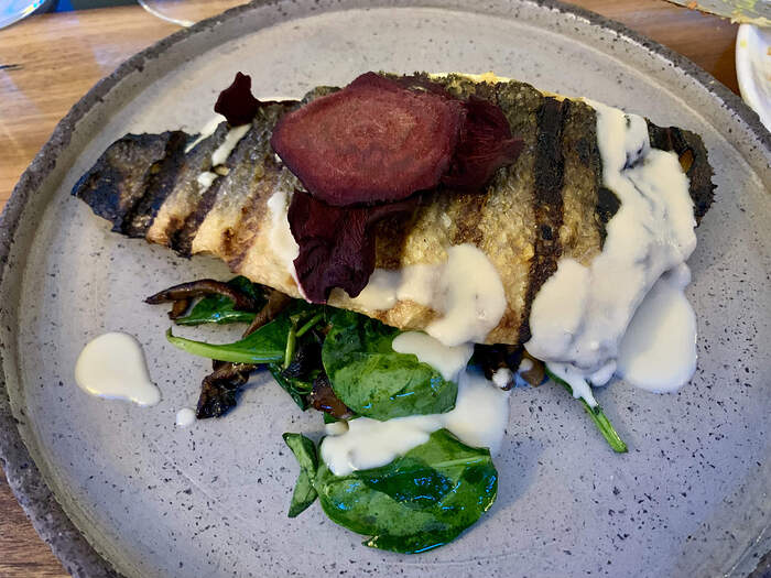 6E9B9279-26CC-4C7D-8056-0D1B30F4B690_1_201_a