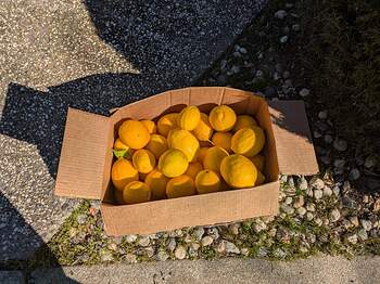 PXL_20260202_211400637.MP