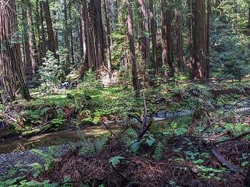 PXL_20220328_184708873.MP