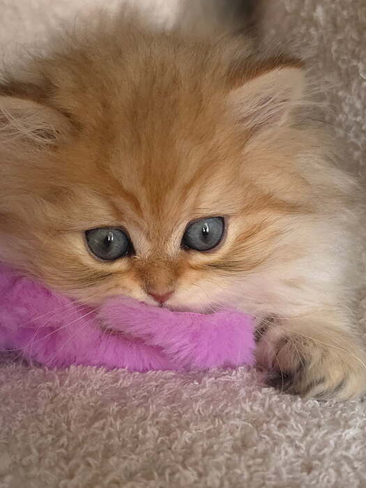 image000000