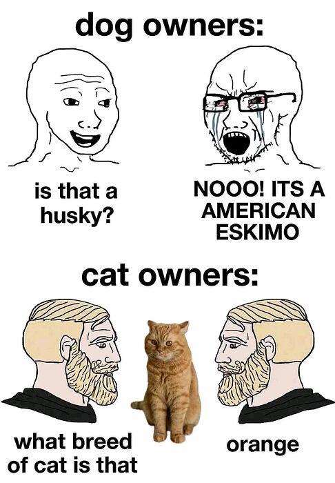 593932955_2250453018798278_4017464993793834789_n