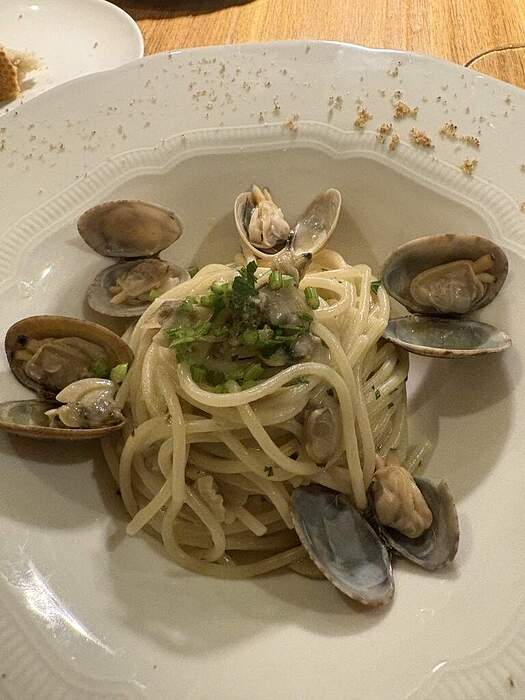 84C03B58-7C6F-490D-B6C4-EB4285E86757_1_105_c