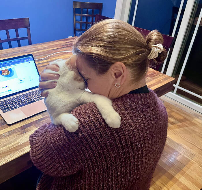 7B8FDD9E-8C3A-4EAD-9C6A-5AB718759B34_1_201_a