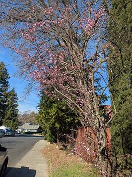 PXL_20260203_222104418