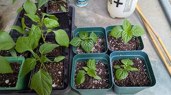 PXL_20260307_221223627