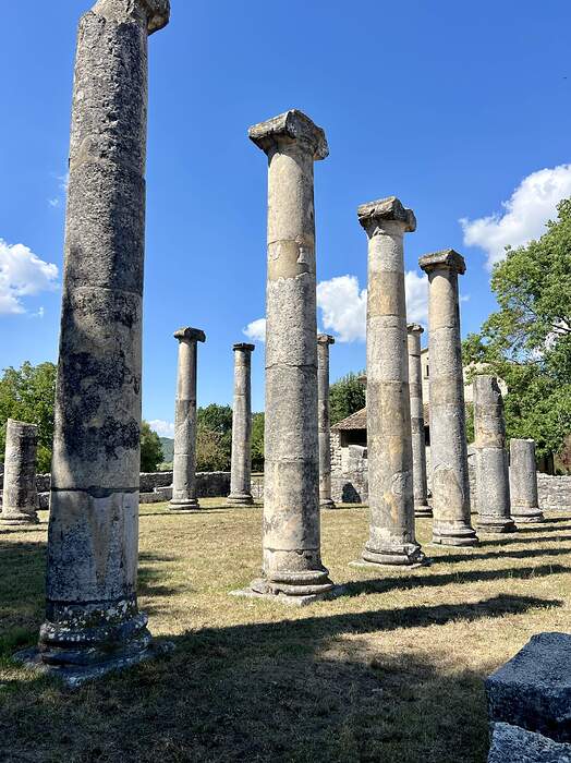 A199D473-F214-4B4F-8E43-E5B2A9397BE5_1_201_a