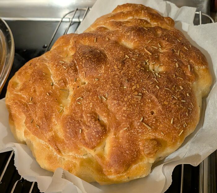 PXL_20260224_003605546~3