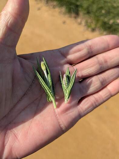 PXL_20260126_224028334