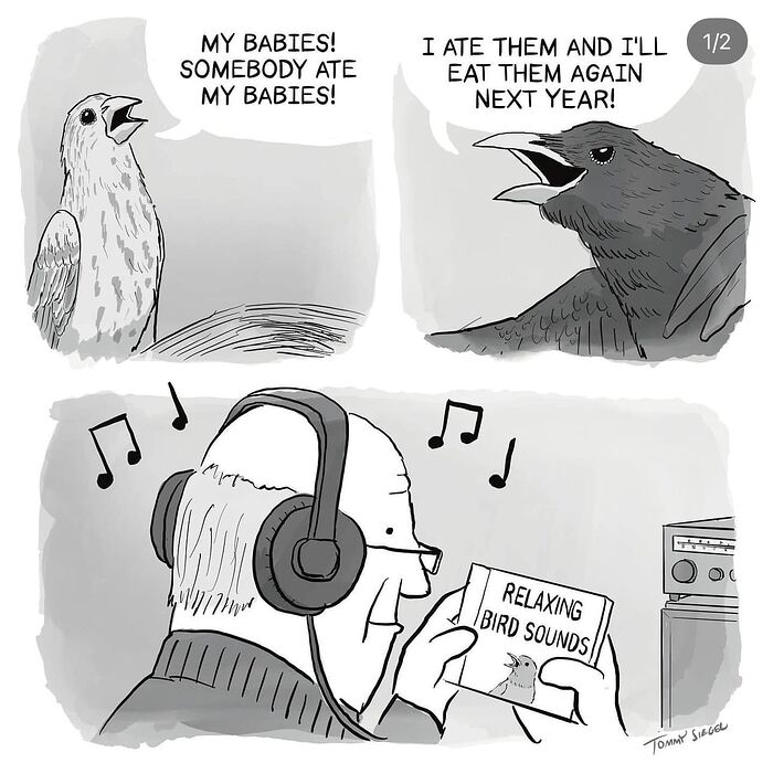 551055112_122200851512053343_1051962265120499415_n