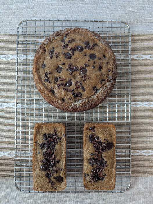 PXL_20260117_165629451.MP