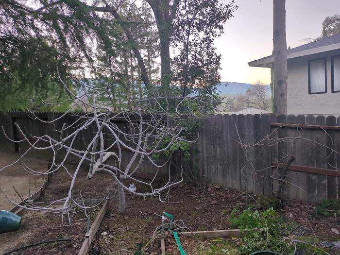 17685261481517983556203935535255